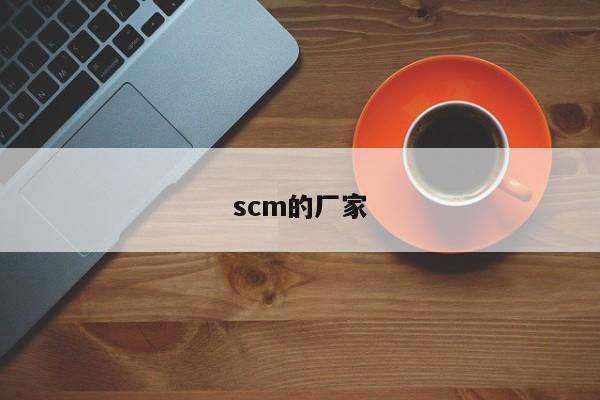 scm的厂家