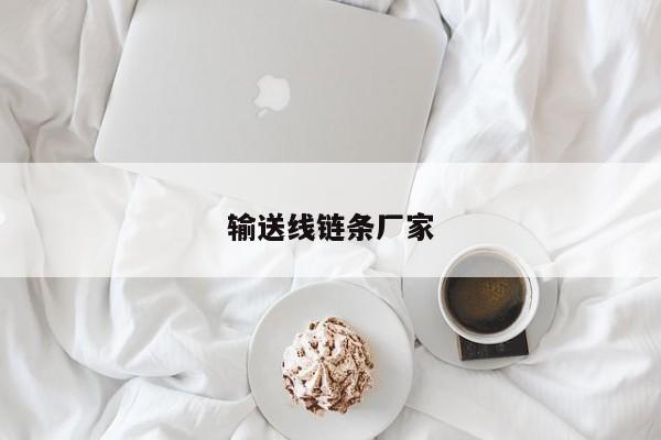 输送线链条厂家