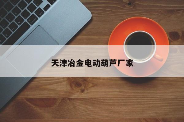 天津冶金电动葫芦厂家
